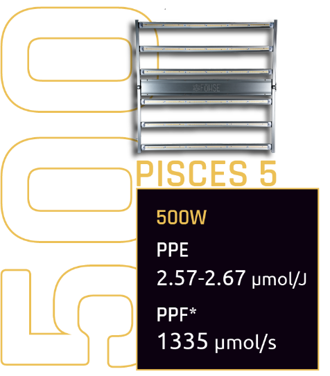 Pisces 5-2