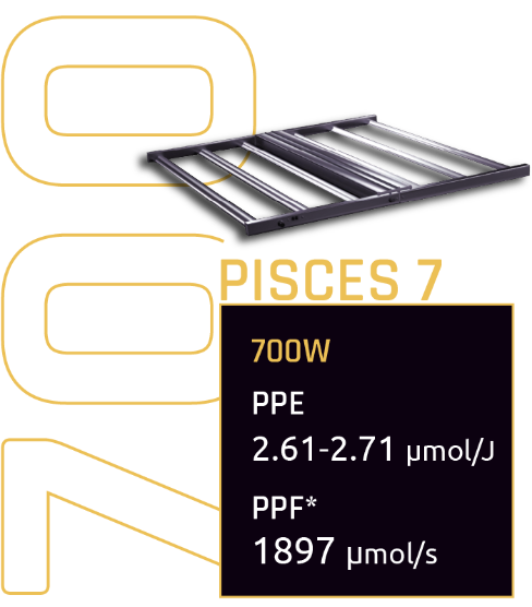 Pisces 7-2