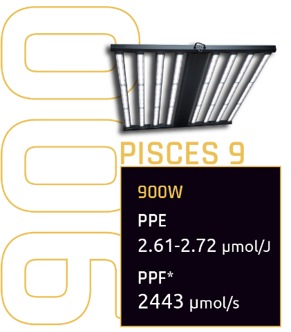 Pisces 9-2