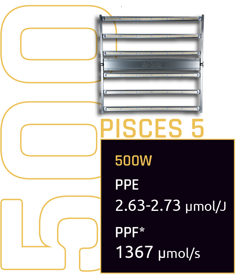Pisces-5