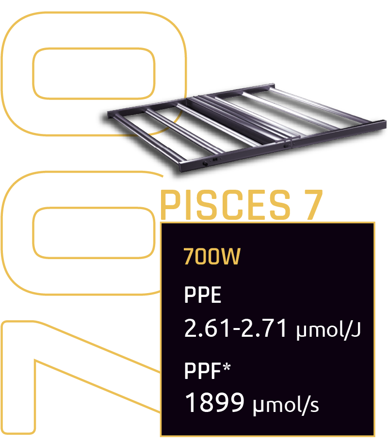 Pisces-7