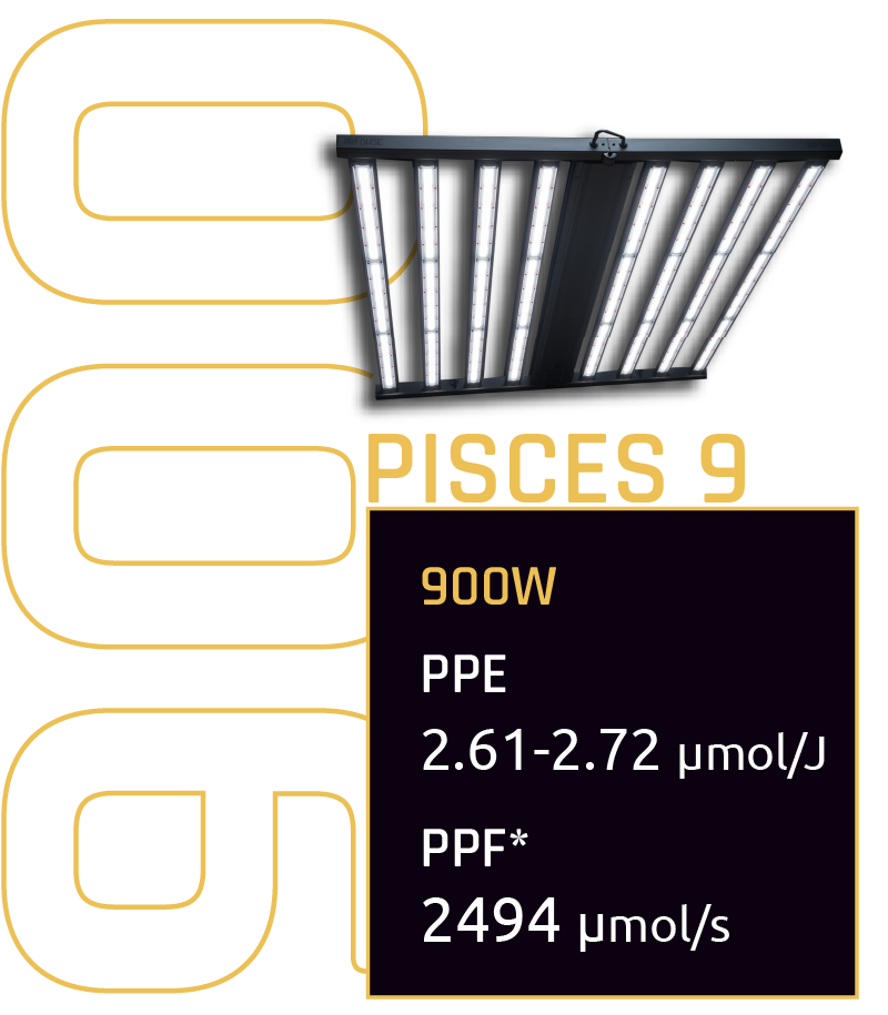 Pisces-9